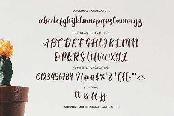 Beauty Sahara Font - Preview 5