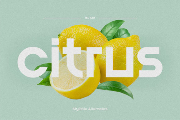 Blont Font - Preview 2