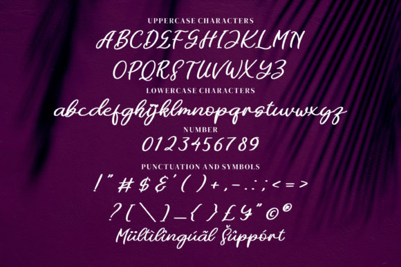 Cathie Font - Preview 6