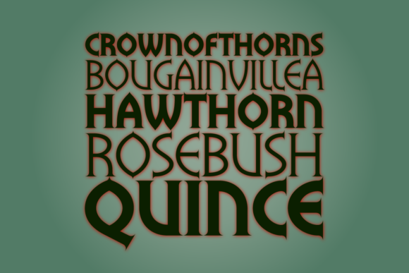 Flowers Thorn Font - Preview 1