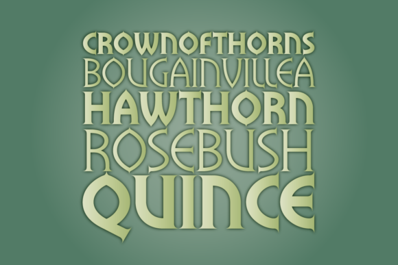Flowers Thorn Font - Preview 3