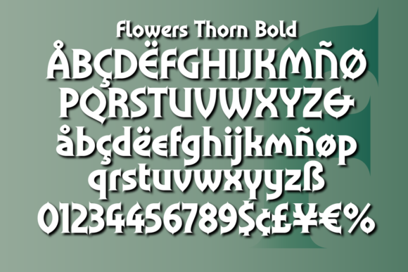 Flowers Thorn Font - Preview 4
