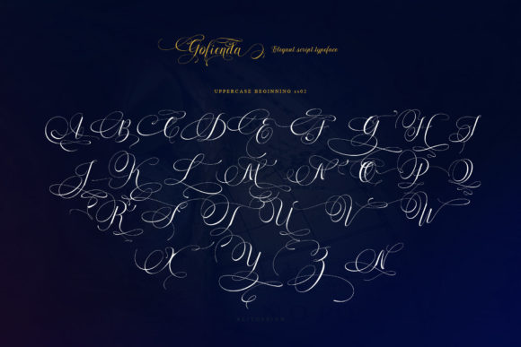 Gofienda Font - Preview 3