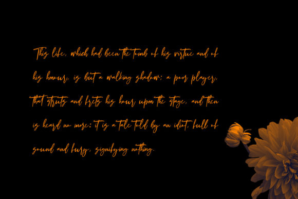 Hillstatic Script Font PNG with transparent background - Preview 1