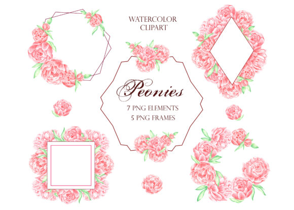 Peonies Watercolor Frame Bundle Graphic Illustrations By sabina.zhukovets