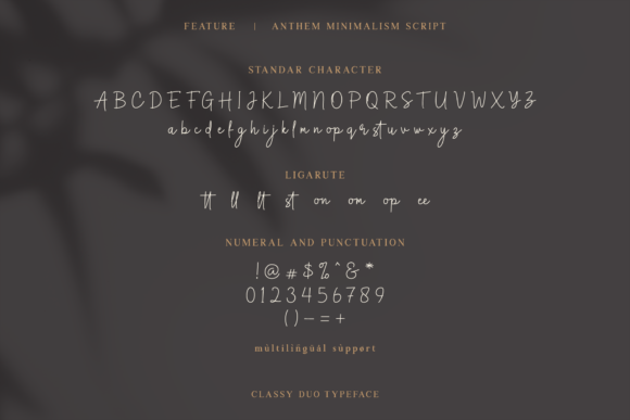 Anthem Minimalism Duo Font - Preview 6