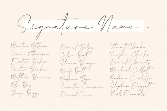 Bentila Signate Font - Preview 1