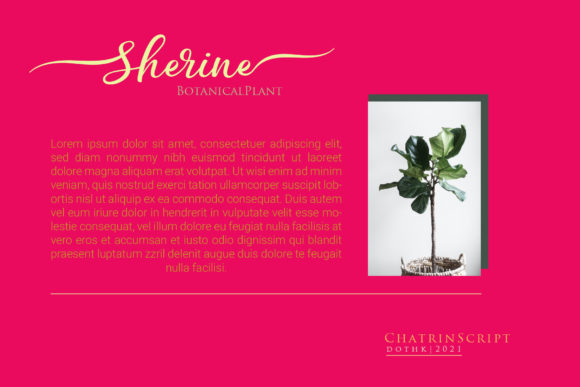 Chatherin Font - Preview 1