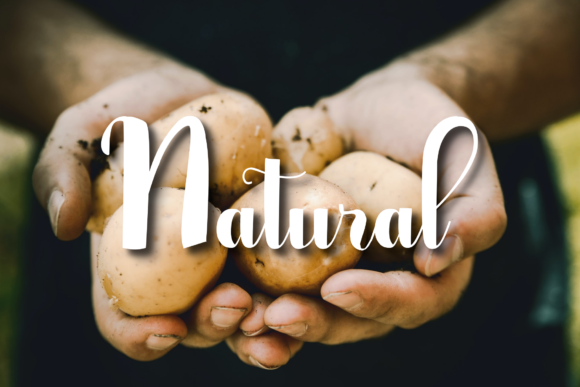 Farmhouse Font - Preview 1