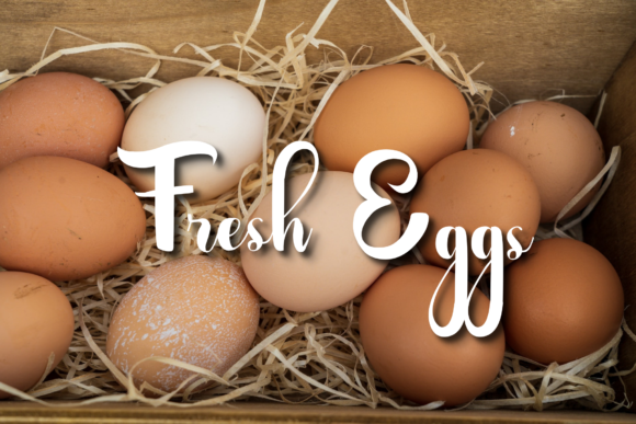 Farmhouse Font - Preview 3