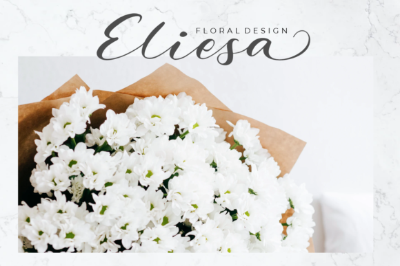 Holista Calligraphy Font PNG with transparent background - Preview 1