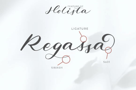 Holista Calligraphy Font PNG with transparent background - Preview 2