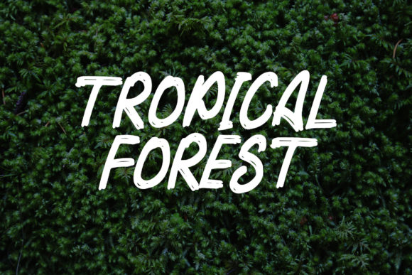 Ragam Garis Font PNG with transparent background - Preview 1