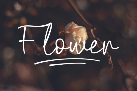 Biegen Stinger Script Font - Preview 1