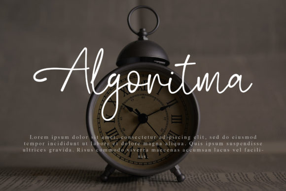 Biegen Stinger Script Font - Preview 2