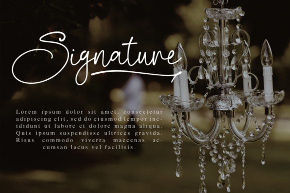 Biegen Stinger Script Font - Preview 3