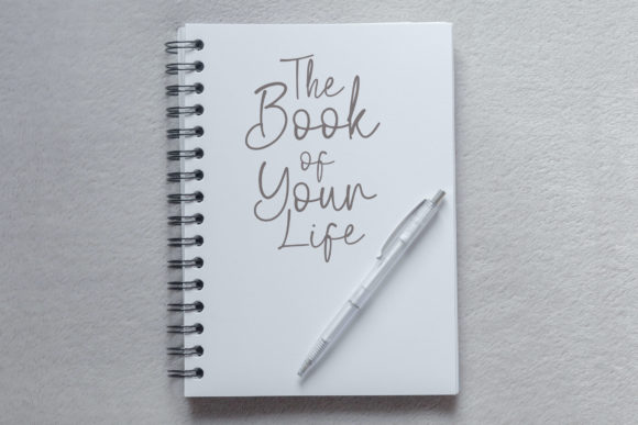 Biegen Stinger Script Font - Preview 6