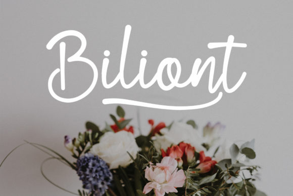 Blind Matte Script Font - Preview 1