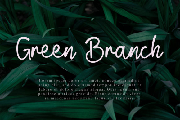 Blind Matte Script Font - Preview 4