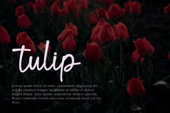 Blind Matte Script Font - Preview 5