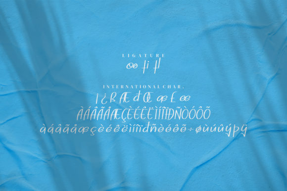 Dogina Summer Font PNG with transparent background - Preview 6
