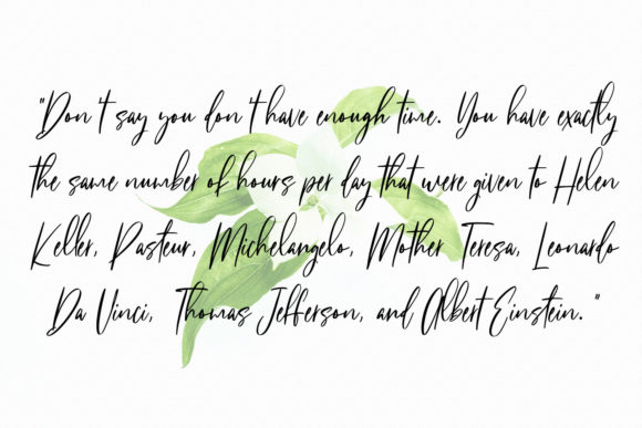 Fit Fleet Script Font - Preview 1