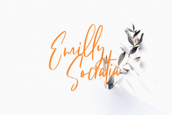 Fit Fleet Script Font - Preview 3