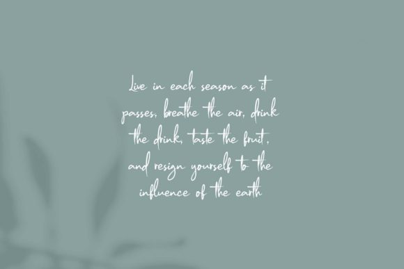 Modien Font PNG with transparent background - Preview 1