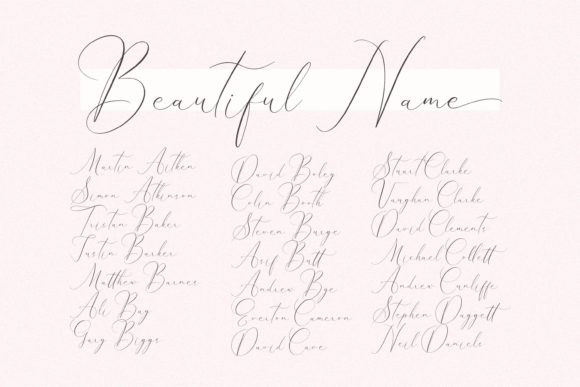 Pattricia Michella Font PNG with transparent background - Preview 1