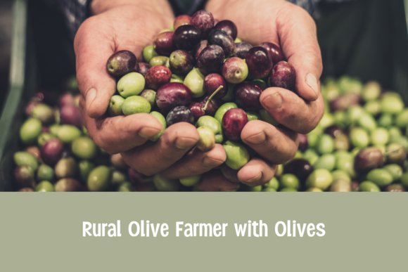 Simply Olive Font PNG with transparent background - Preview 3