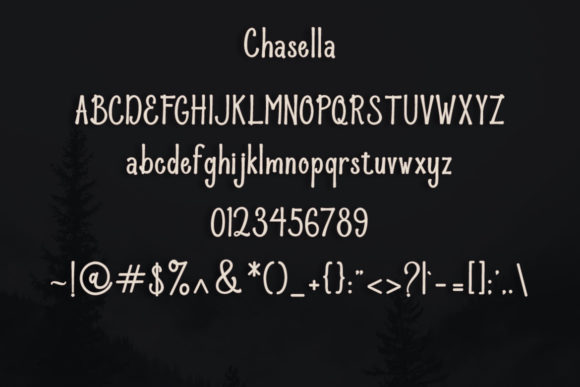Chasella Font - Preview 3