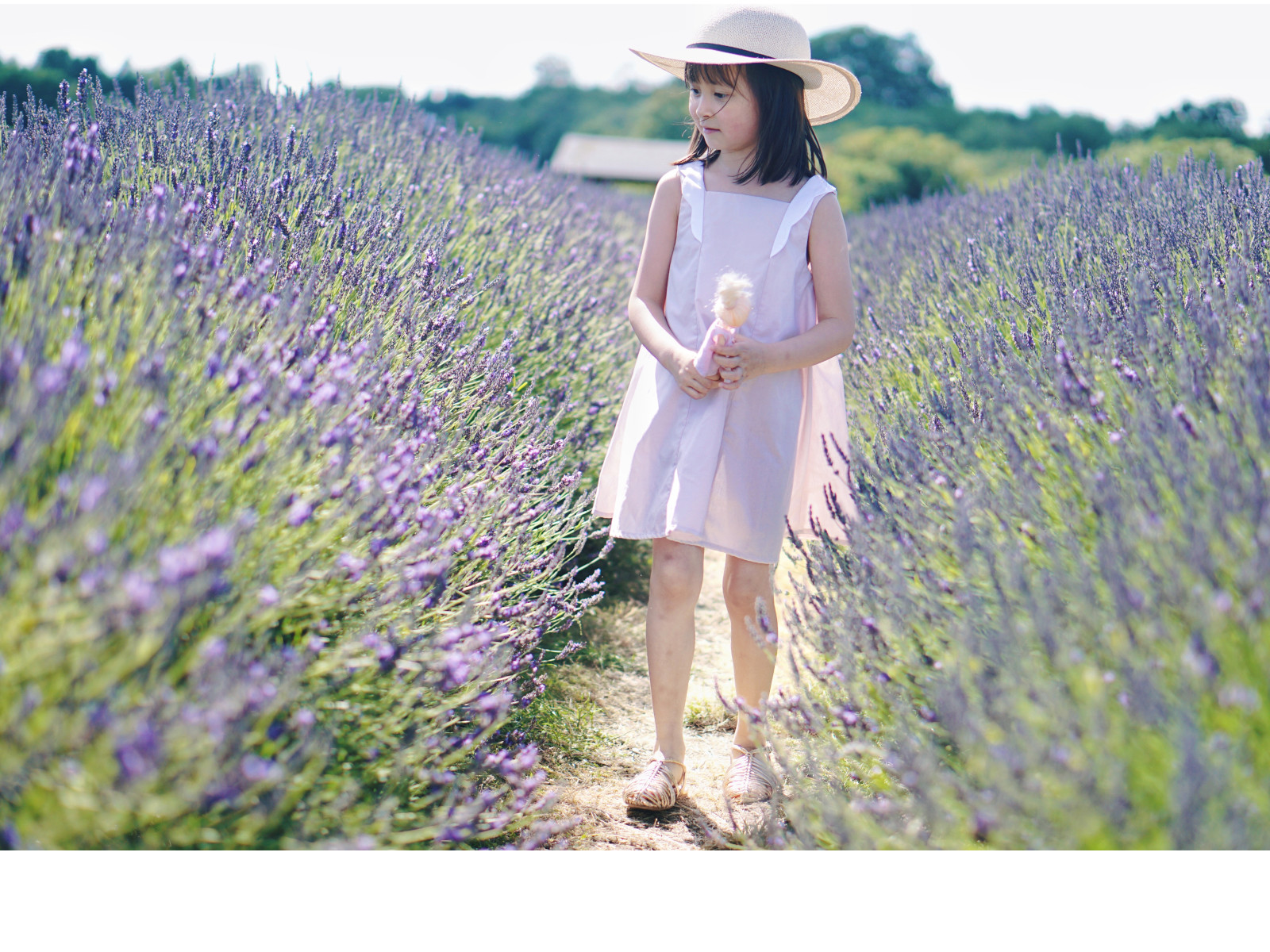 Petal Collar Dress Girl 2-10Y Pattern