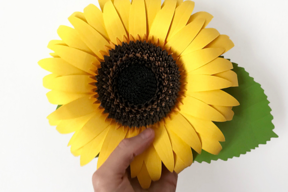 3d Paper Sunflower Graphics