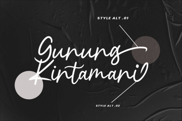 Black Rotela Script Font - Preview 5