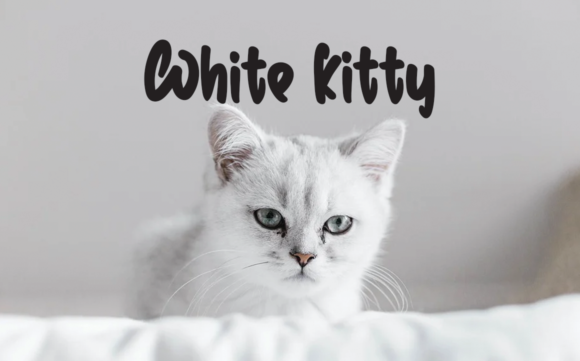 Christmas in July Font font preview - 4