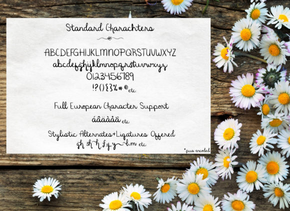 Happy Daisy Font - Preview 5
