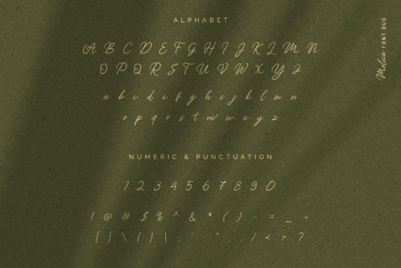 Molica Duo Font PNG with transparent background - Preview 5
