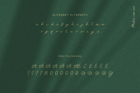 Molica Duo Font PNG with transparent background - Preview 6