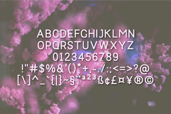 Mounterm Font PNG with transparent background - Preview 1