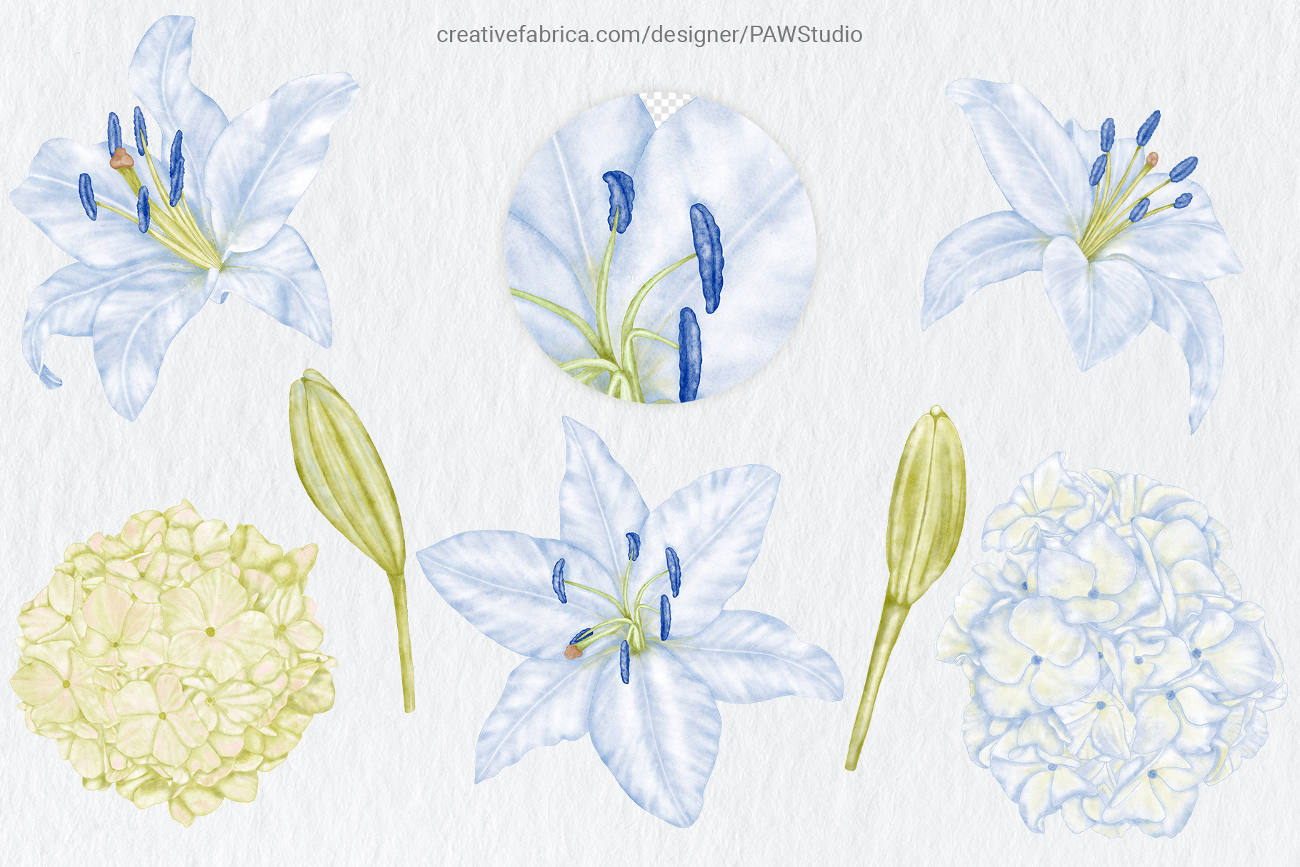 Vintage Blue Wedding Clipart Flowers Bri - photo 2