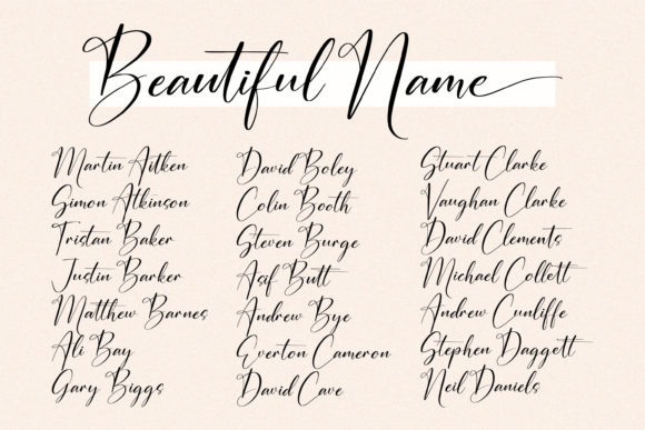 Auristtela Patricia Font - Preview 1