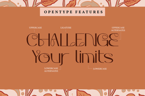 Browlyn Font - Preview 4