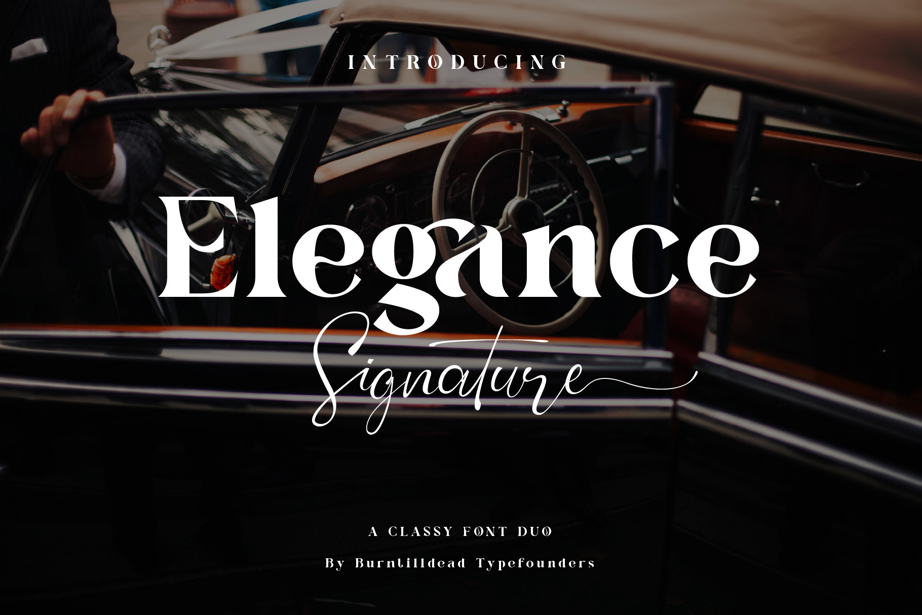 Elegance Signature preview - elegant flowing signature-style script