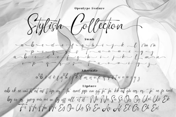 Elegance Signature Font - Preview 5