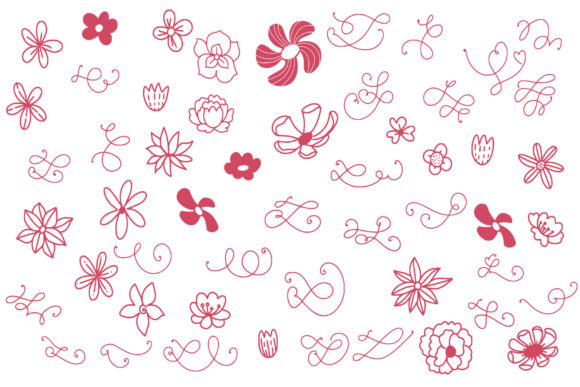 Nature Ornaments Font PNG with transparent background - Preview 1