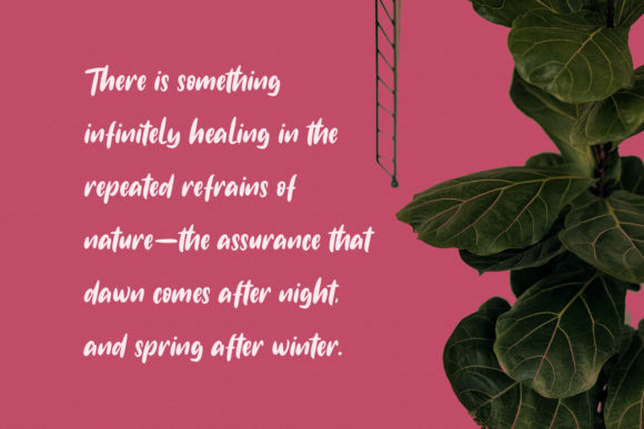 Northports Font PNG with transparent background - Preview 1