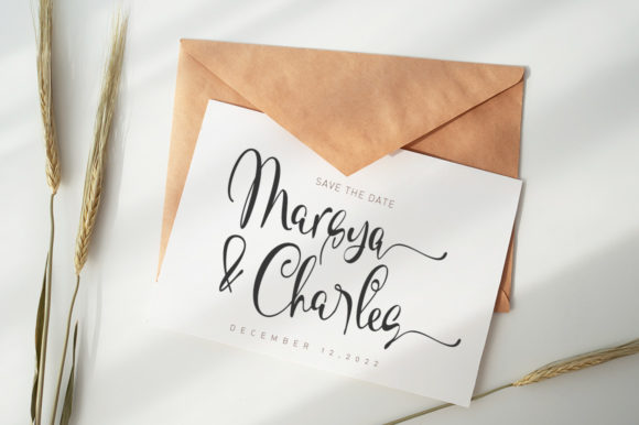 Shellonitha Font PNG with transparent background - Preview 6