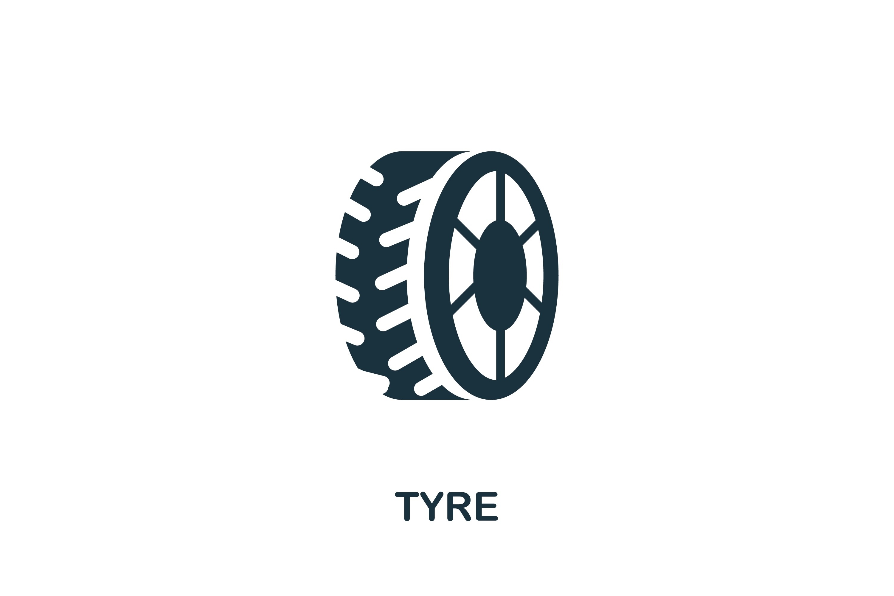 Tyre Flat Icon