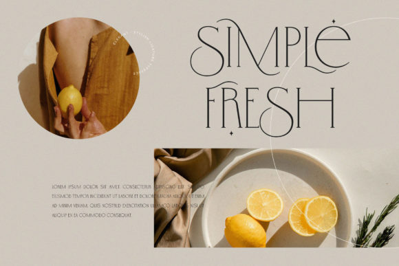 Gallerya Font PNG with transparent background - Preview 2