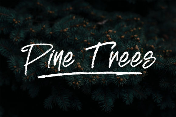 Breaking Rule Font PNG with transparent background - Preview 1